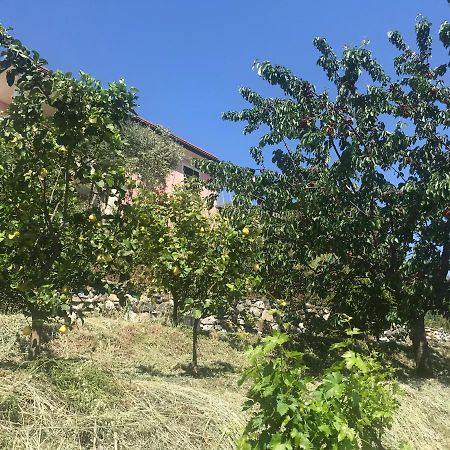 Villa Teresa Casarza Ligure Kültér fotó