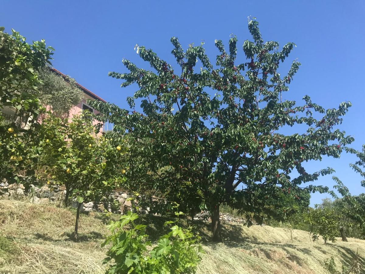 Villa Teresa Casarza Ligure Kültér fotó