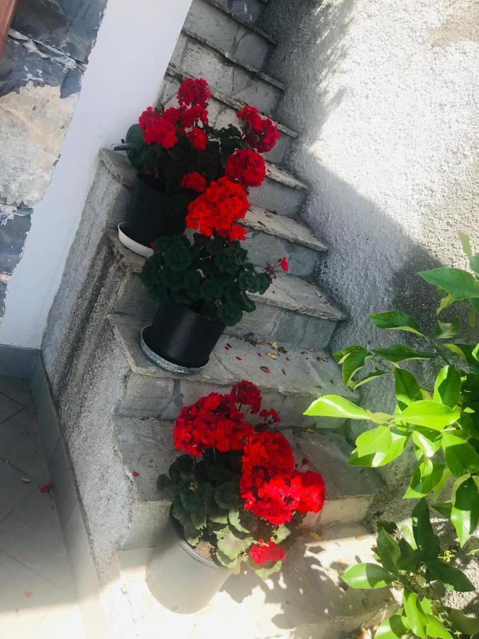 Villa Teresa Casarza Ligure Kültér fotó
