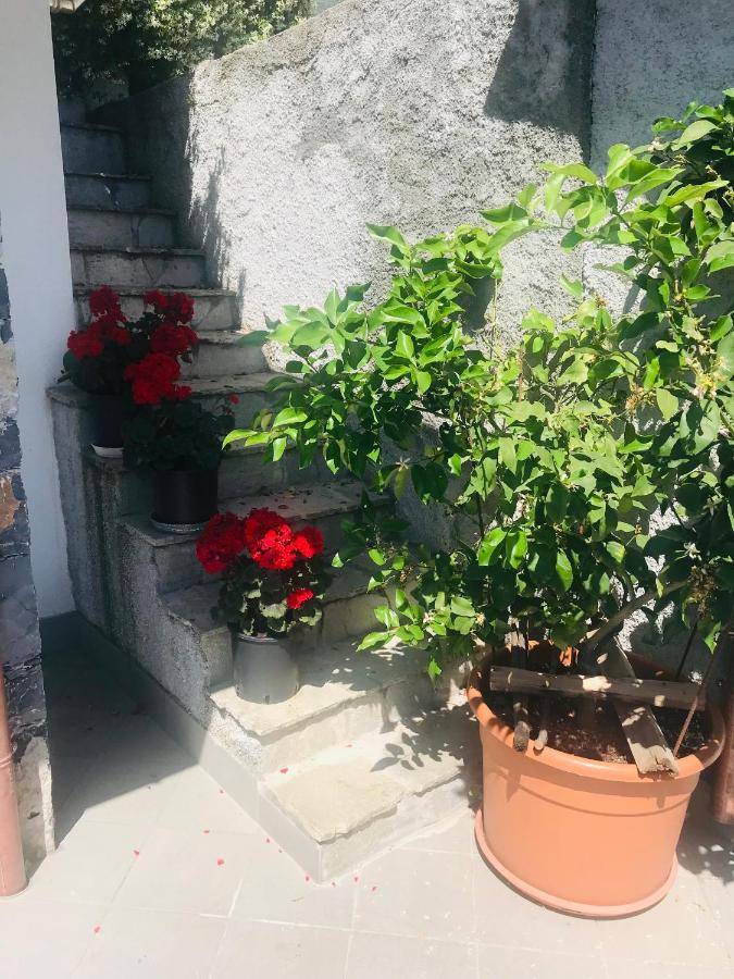 Villa Teresa Casarza Ligure Kültér fotó